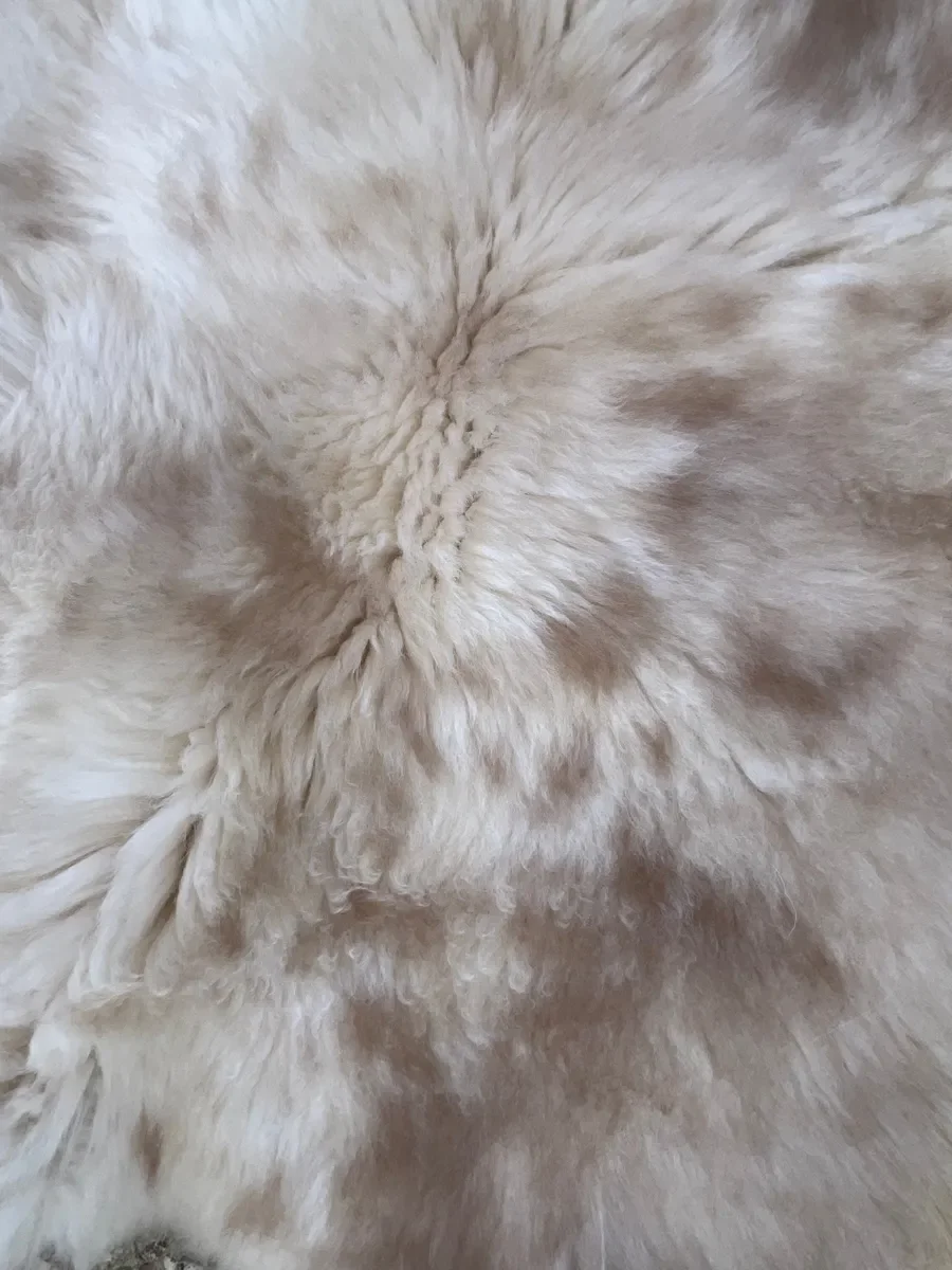 Willowieter by Wol Society, an ivory and cream sheep skin rug mottled with blush and taupe