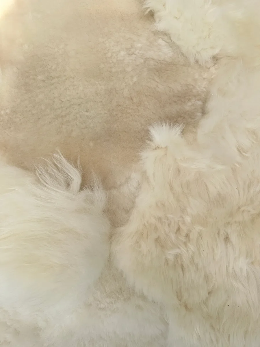 Mieke 195 by Wol Society, a giant creamy ivory sheep skin rug with plush, fluffy fleece