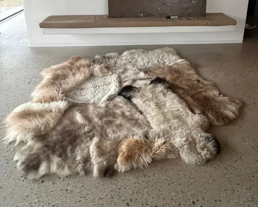 Fragile by Wol Society, a patchwork sheepskin rug in silver grey, warm taupe and ivory with charcoal accents