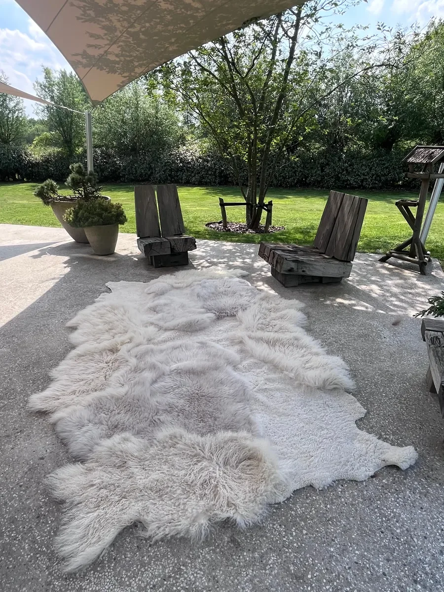 Mango by Wol Society, an ivory sheep skin rug with soft patches of pale dove grey