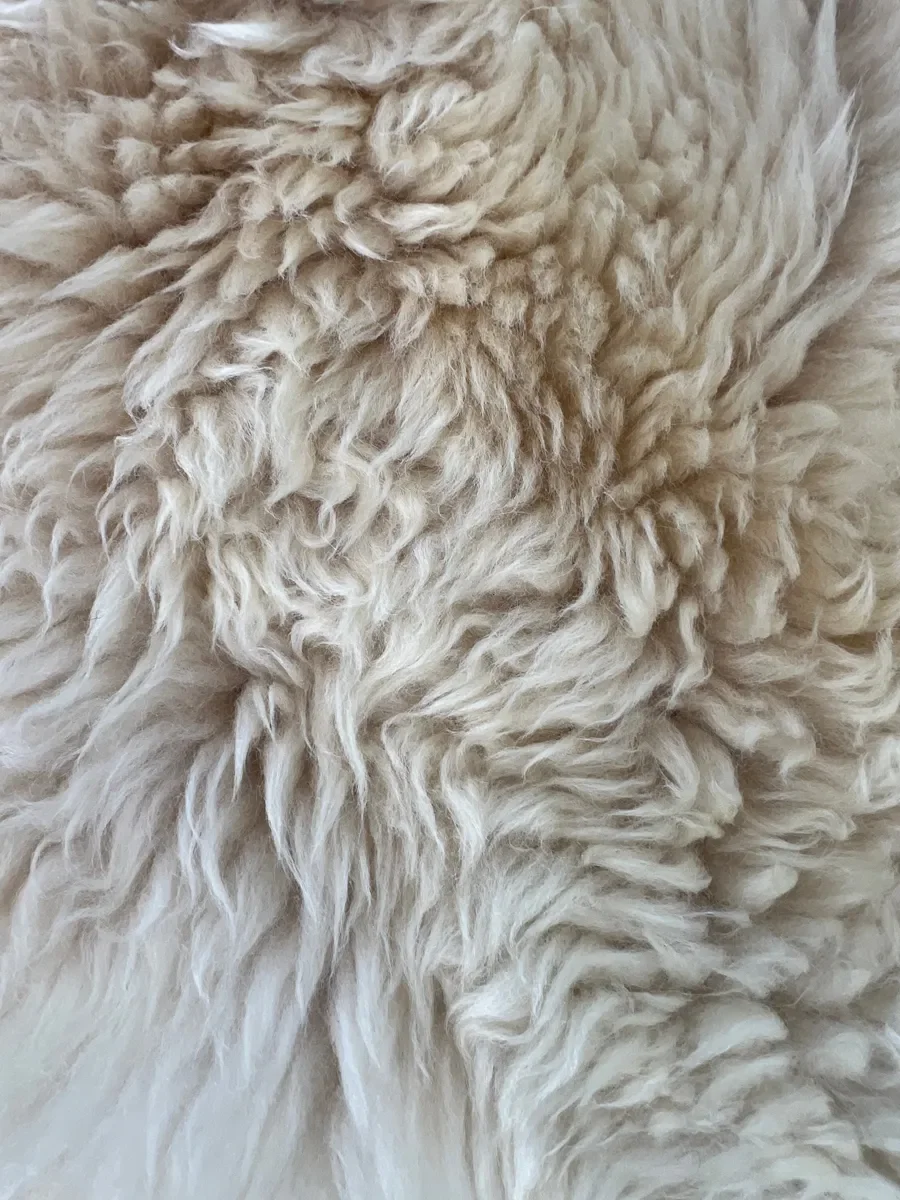 Willowieter by Wol Society, an ivory and cream sheep skin rug mottled with blush and taupe