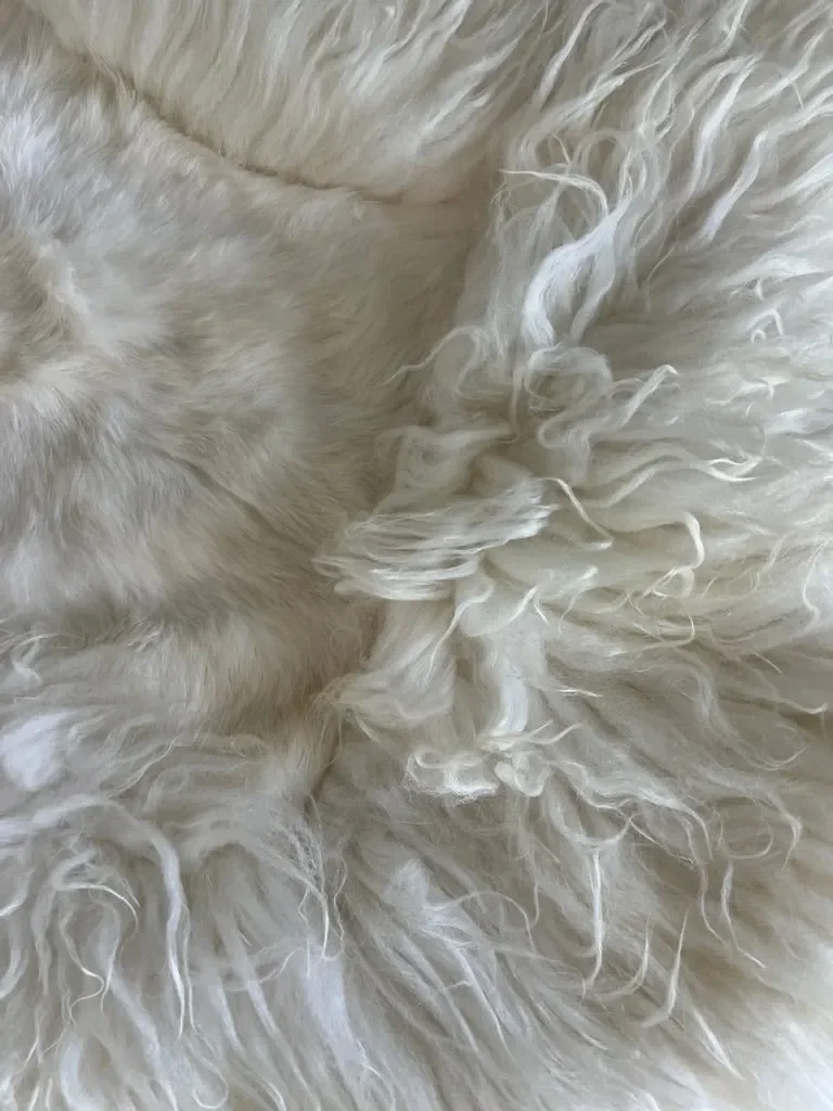 Gamin by Wol Society, an ivory sheep skin rug with long, airy fleece and smooth patches