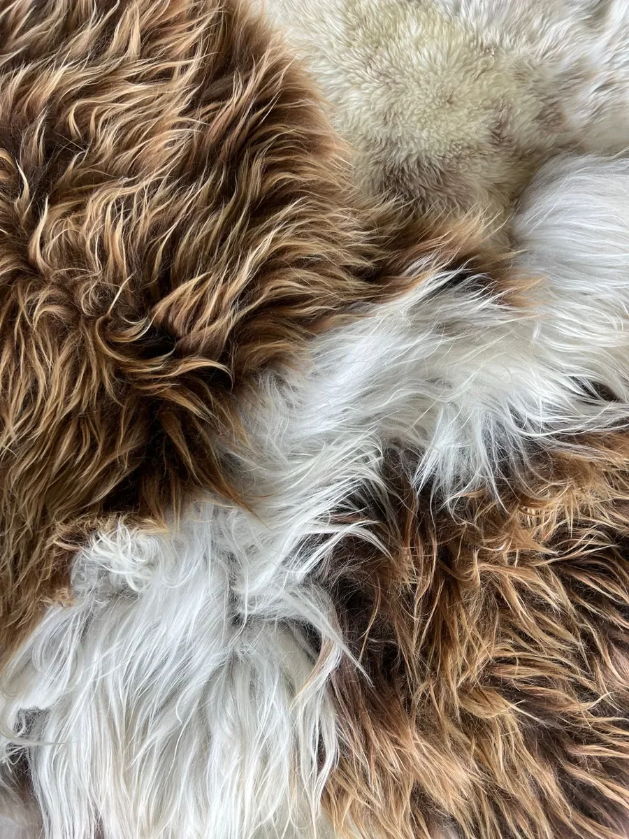 Prince by Wol Society, a large white and brown patchwork sheepskin rug with chestnut and chocolate curls