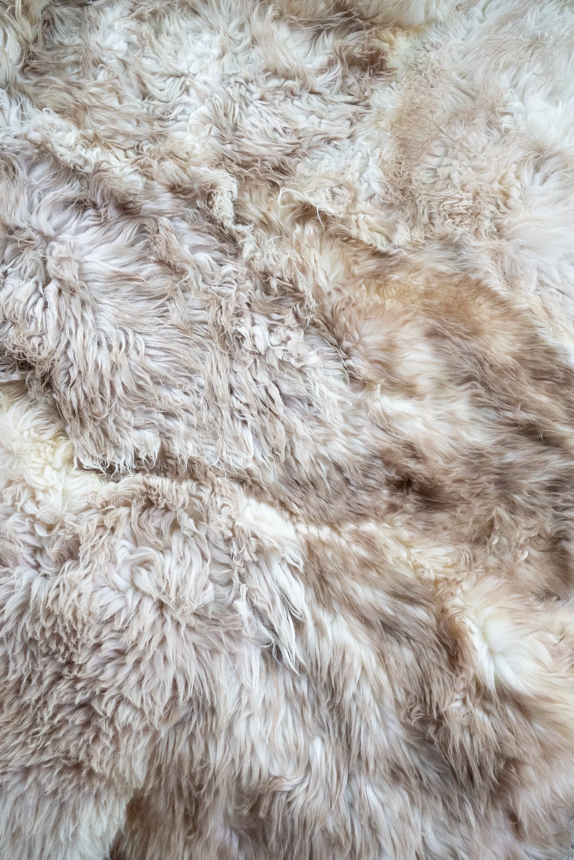 baaa-bara-sheepskin-rug (7).jpg