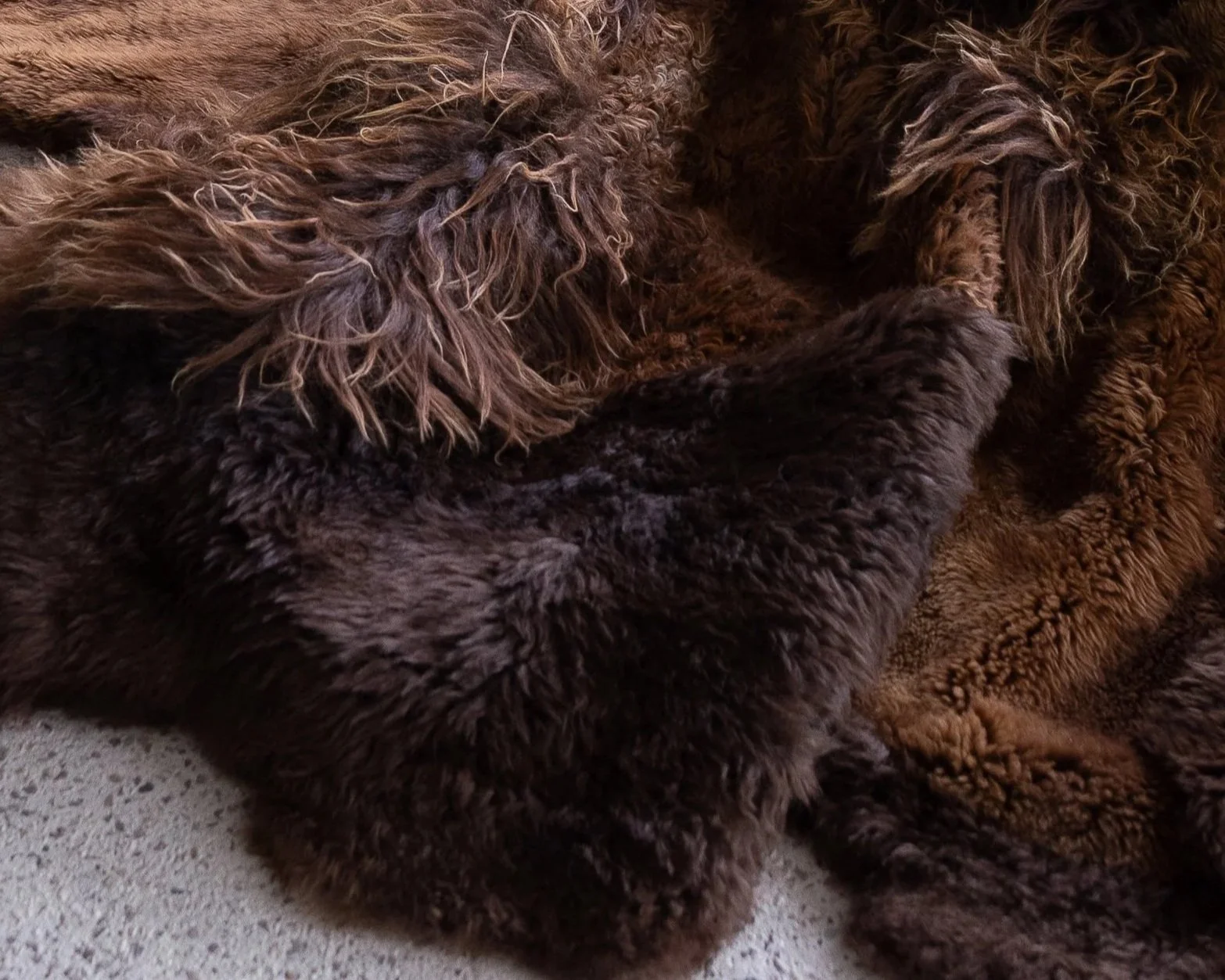 Casper by Wol Society, a shaggy deep chocolate brown sheepskin rug with honey highlights