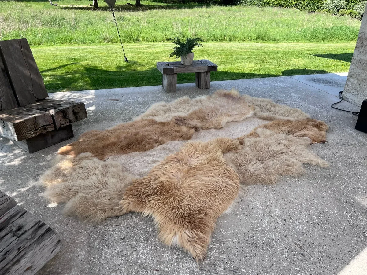 Pickles by Wol Society, a honey and sand sheep skin rug with shaggy fleece around a sandy beige center