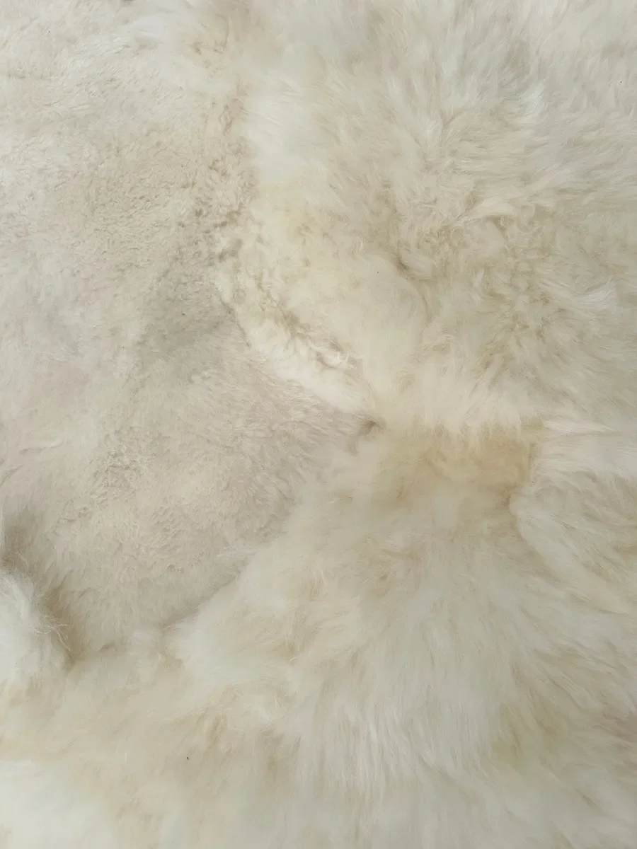 Mieke 195 by Wol Society, a giant creamy ivory sheep skin rug with plush, fluffy fleece