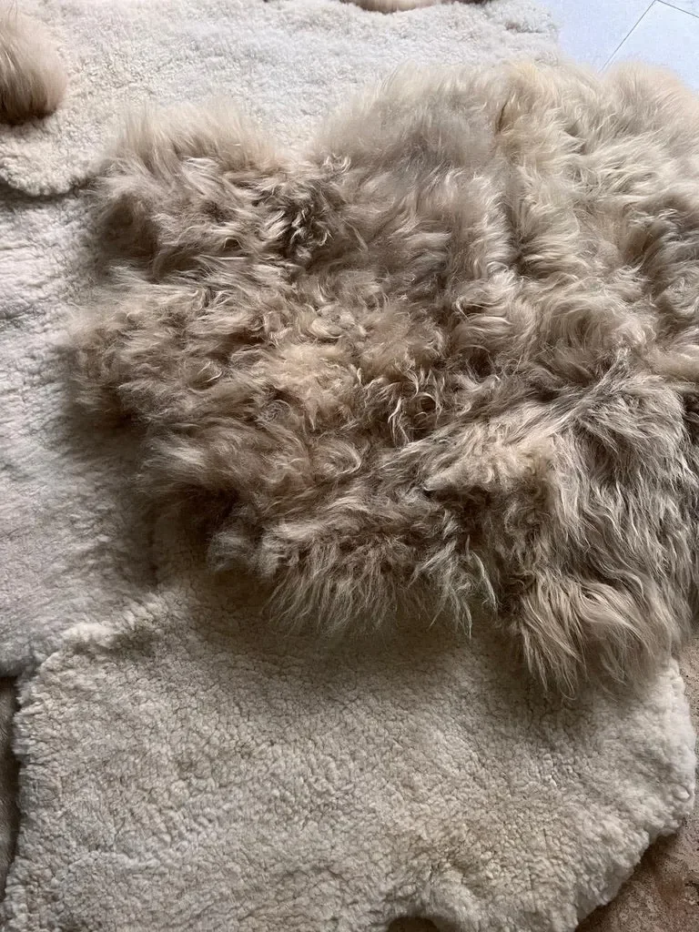 Mieke 196 by Wol Society, an ivory sheep skin rug dotted with long, fluffy taupe pelts