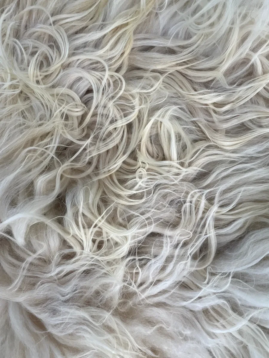 Willowieter by Wol Society, an ivory and cream sheep skin rug mottled with blush and taupe