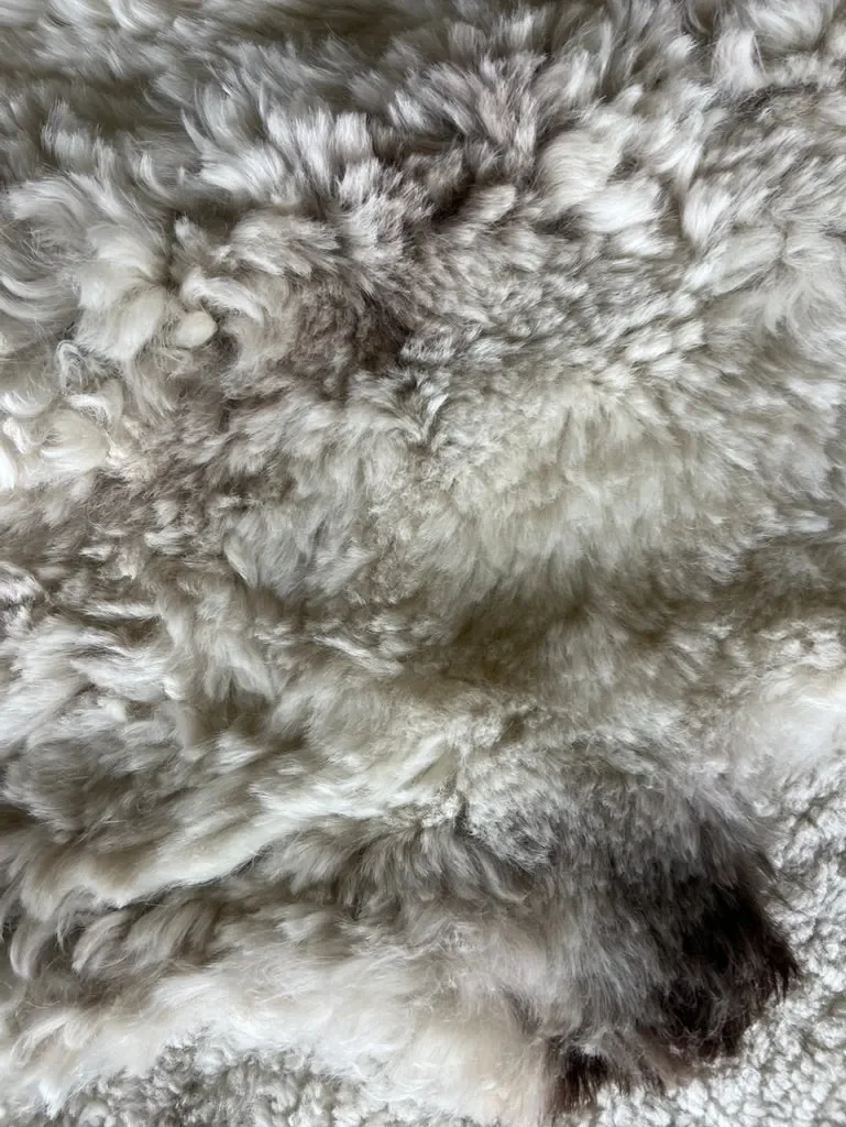 Mimi by Wol Society, an ivory Walliser Blacknose sheep skin rug with taupe shading and black-tipped edges