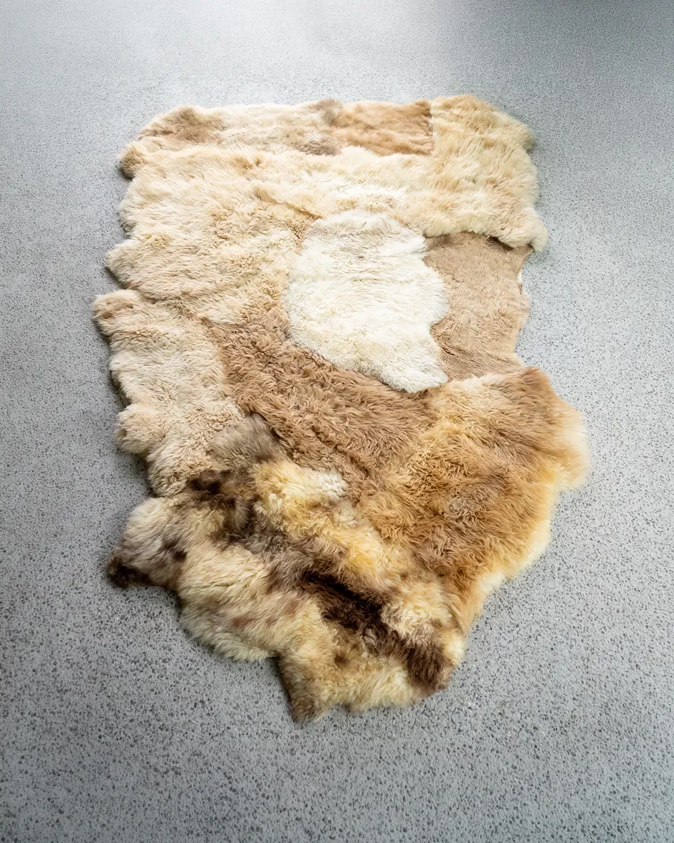 Teddy by Wol Society, a large caramel and honey sheep skin rug with a cream accent