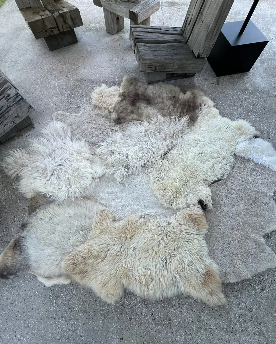 Tilly Moon by Wol Society, an ivory sheep skin rug with taupe pelts, silver grey curls and small brown spots