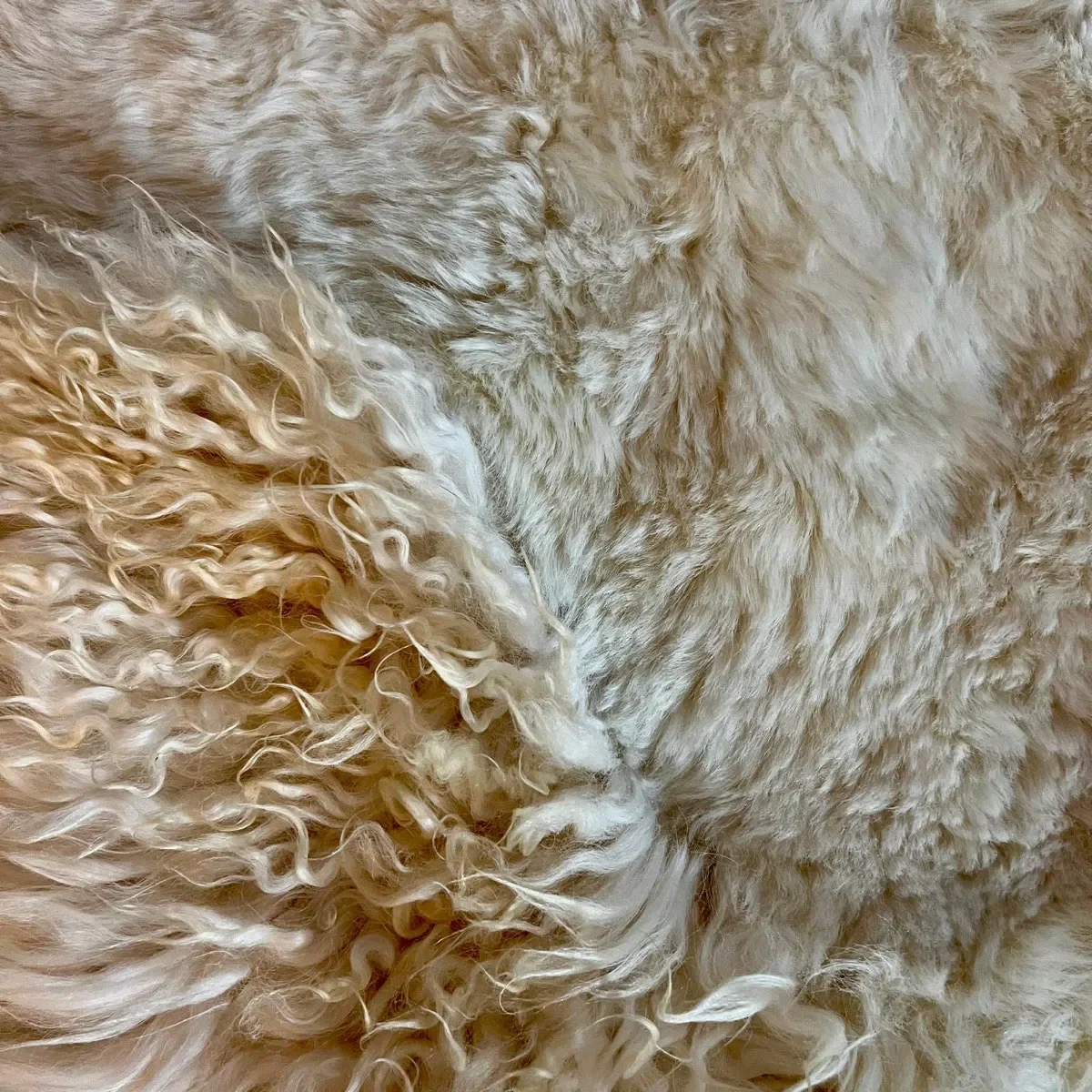 Silence by Wol Society, a buttery ivory sheep skin rug with smooth pelts and long, silky edges