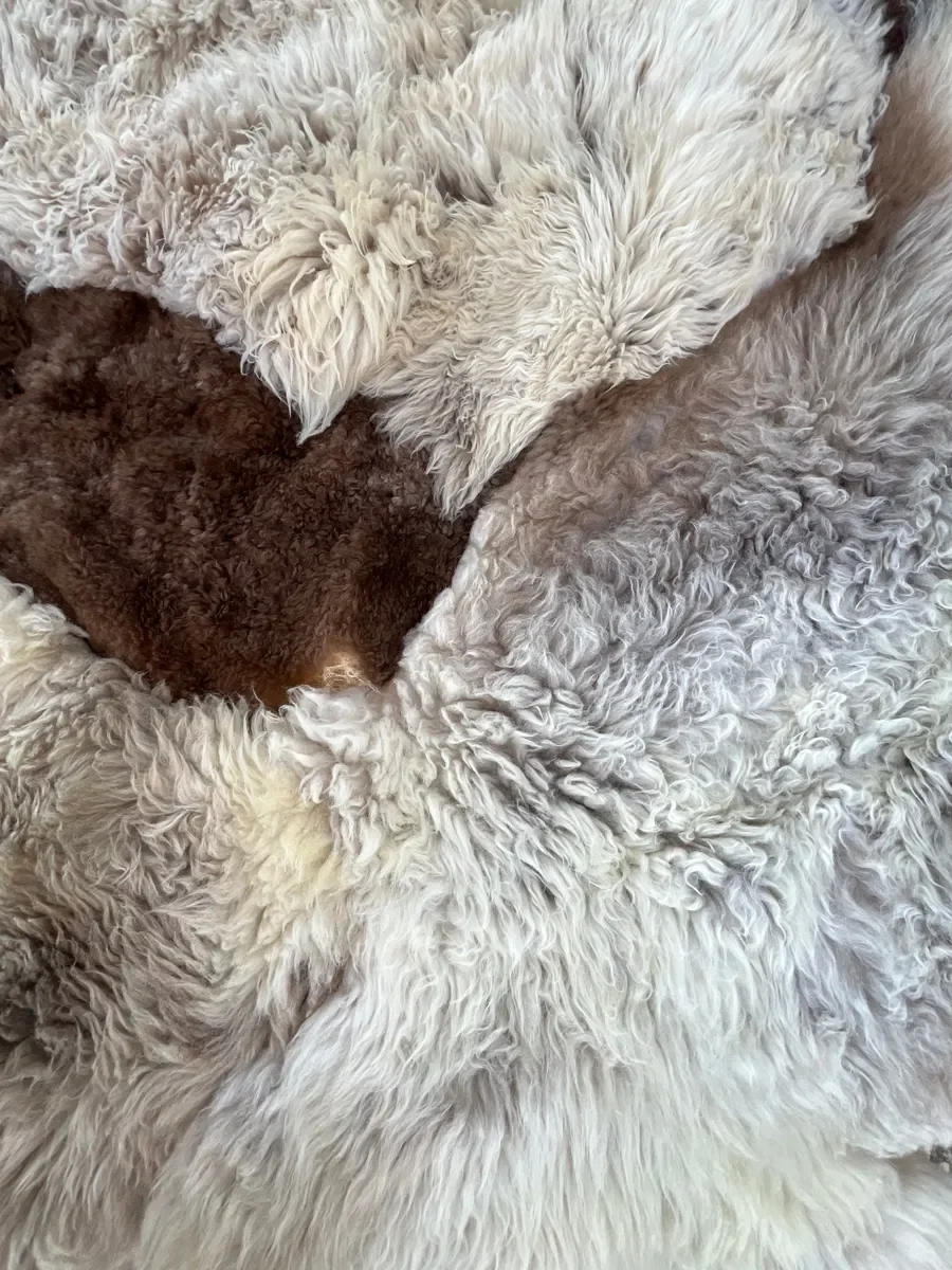 Muffin by Wol Society, a curly oatmeal and grey-taupe sheep skin rug with chocolate brown pelts