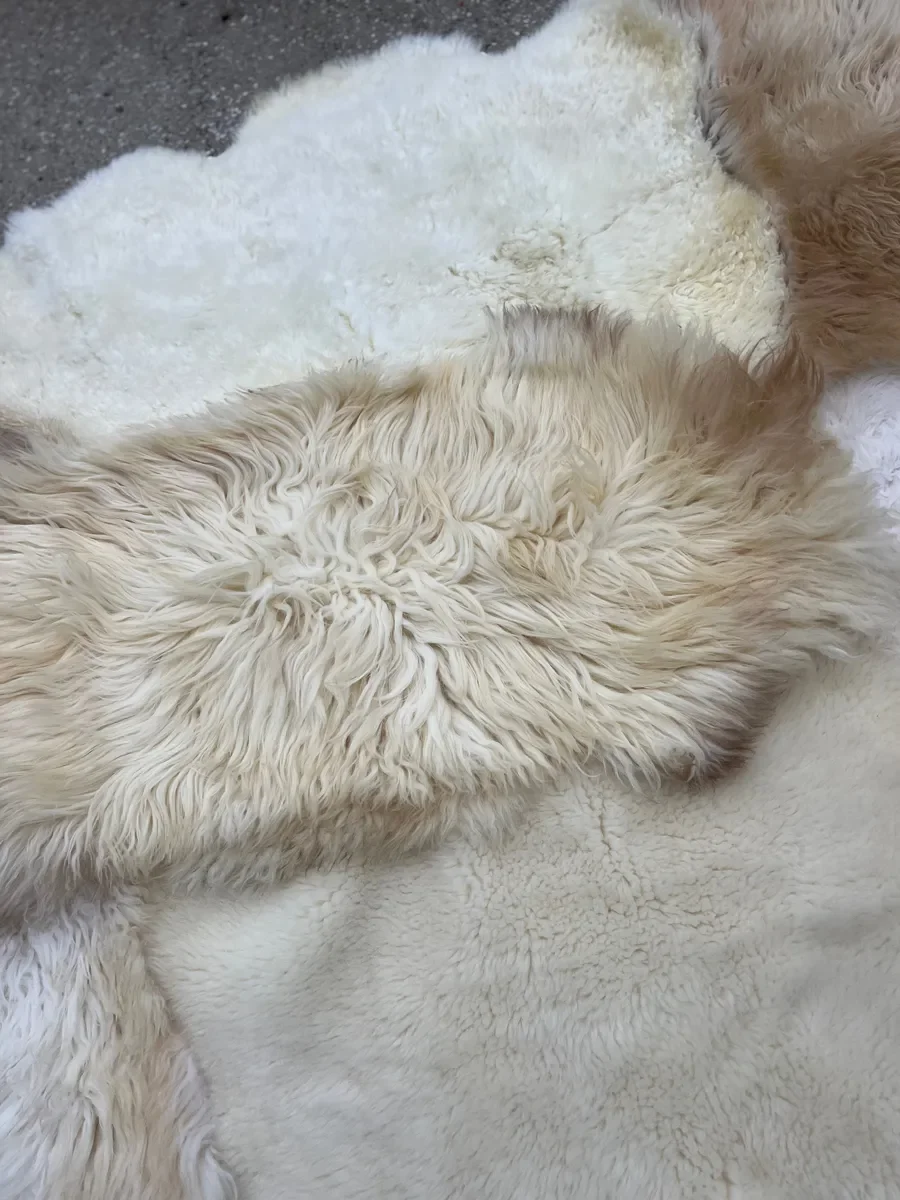 Nomad by Wol Society, a creamy white sheepskin rug with a honey and taupe pelt across the center