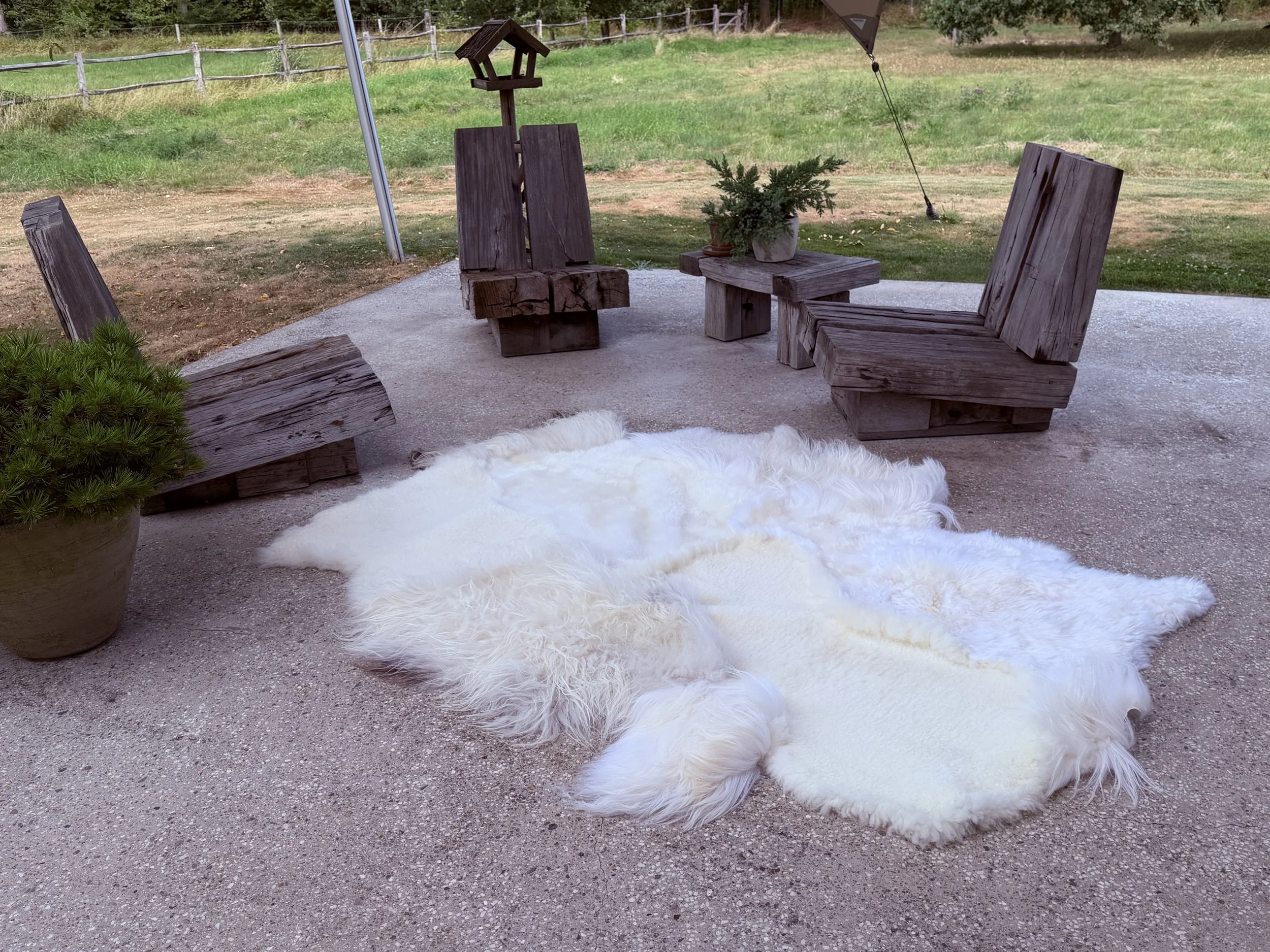 Archie by Wol Society, an ivory sheep skin rug with long silky locks and one dark-tipped edge.
