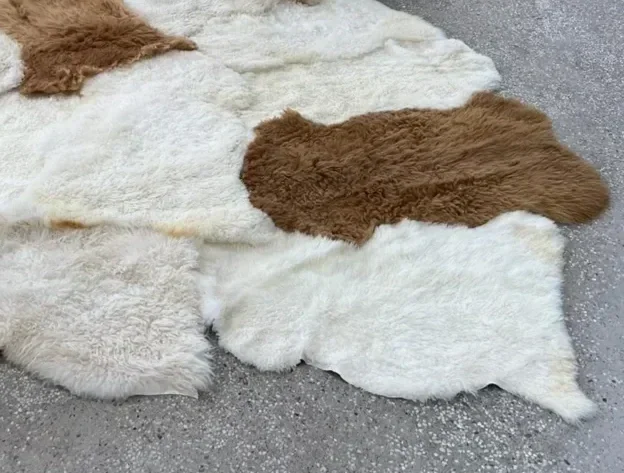 Coqui by Wol Society, a huge white sheepskin rug with two caramel pelts