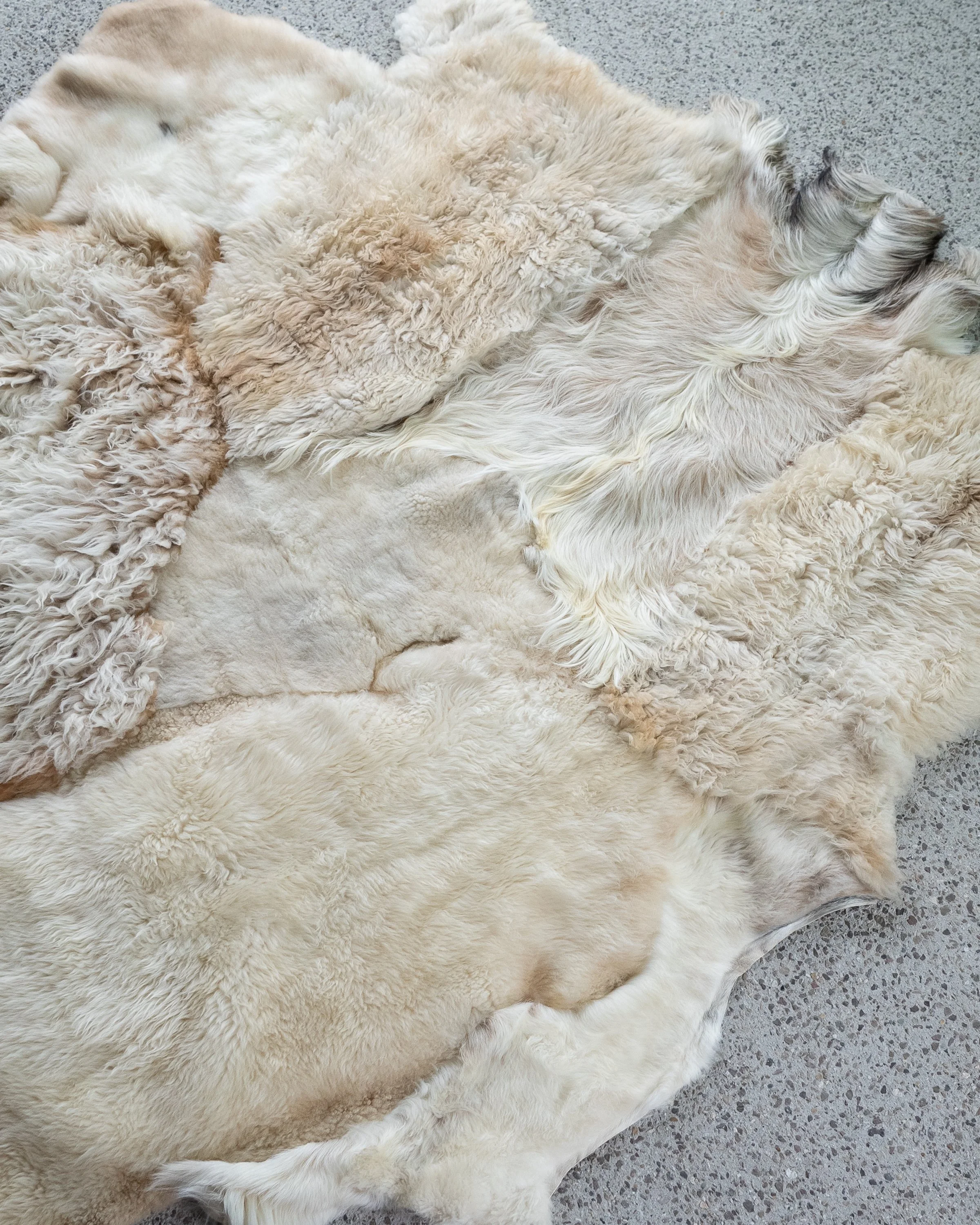 alfie-grey-white-sheepskin-rug (4).jpg