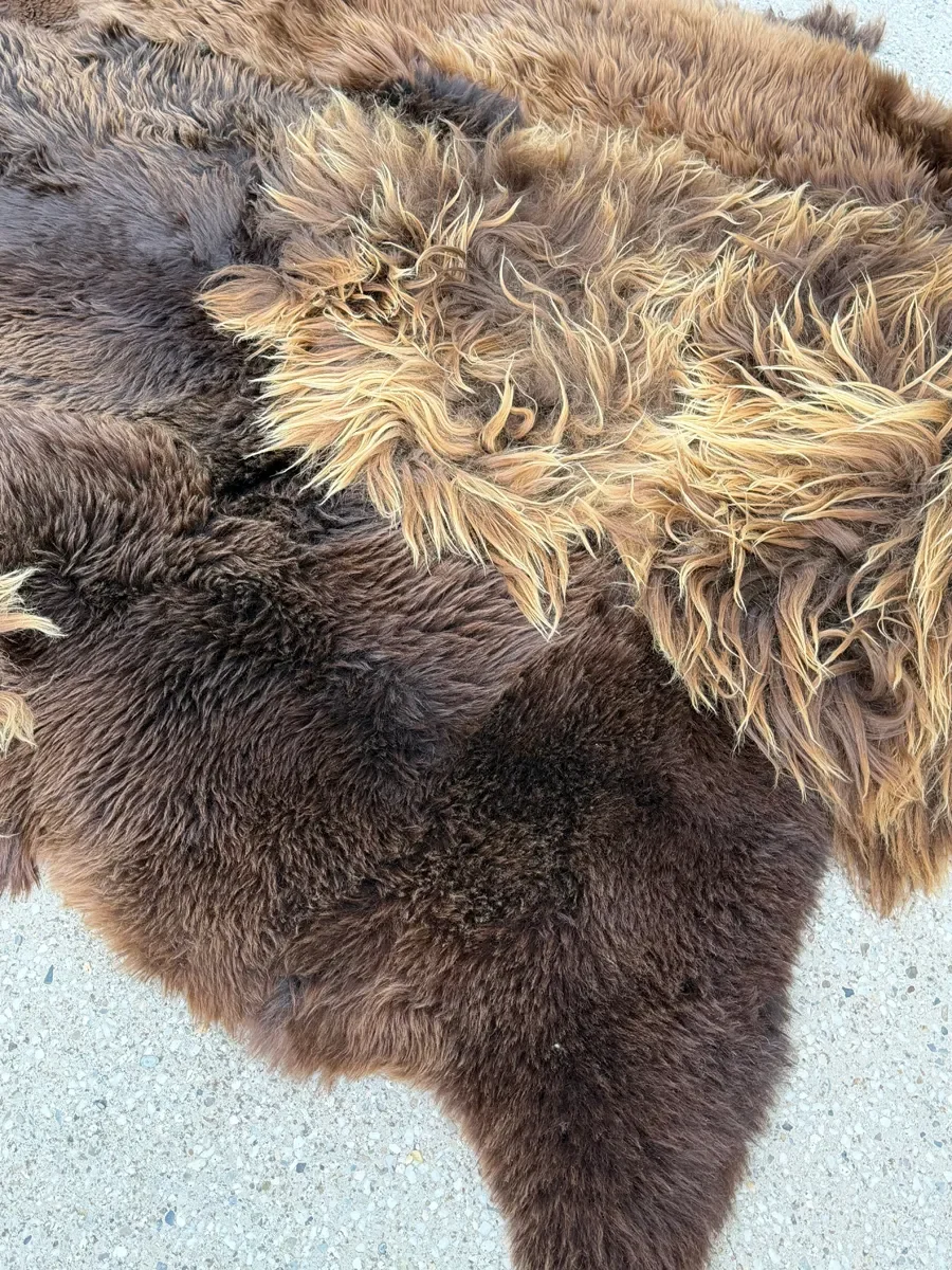 Zoomie by Wol Society, a shaggy chocolate brown sheepskin rug with honey-colored tips