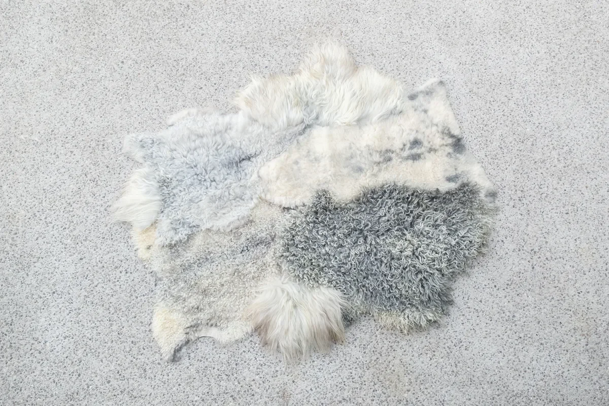 Silver Mist by Wol Society, an ivory and silver grey sheepskin rug with curly, frosted pelts