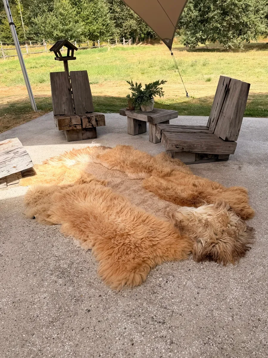 Kamiel by Wol Society, a golden ginger sheep skin rug with long, shaggy fleece and a sandy center