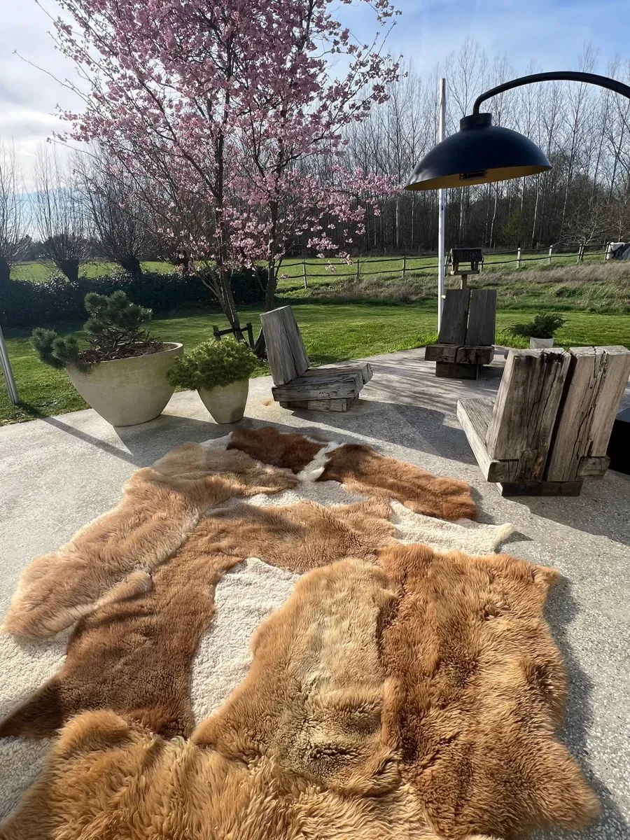 Wuzzy by Wol Society, a large caramel and honey sheep skin rug with patches of curly cream