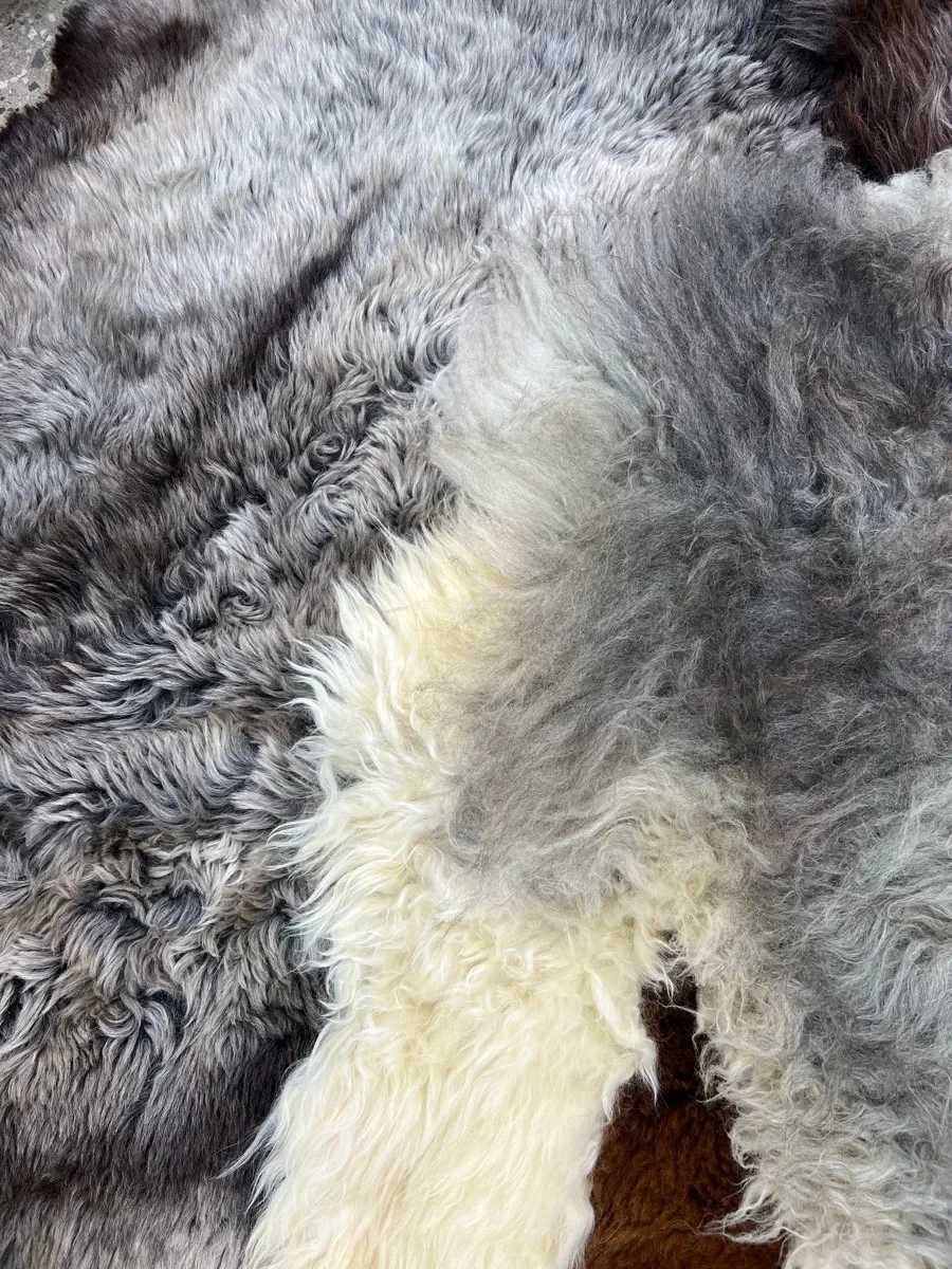 Wilder by Wol Society, a large copper brown and silver grey sheepskin rug with cream accents