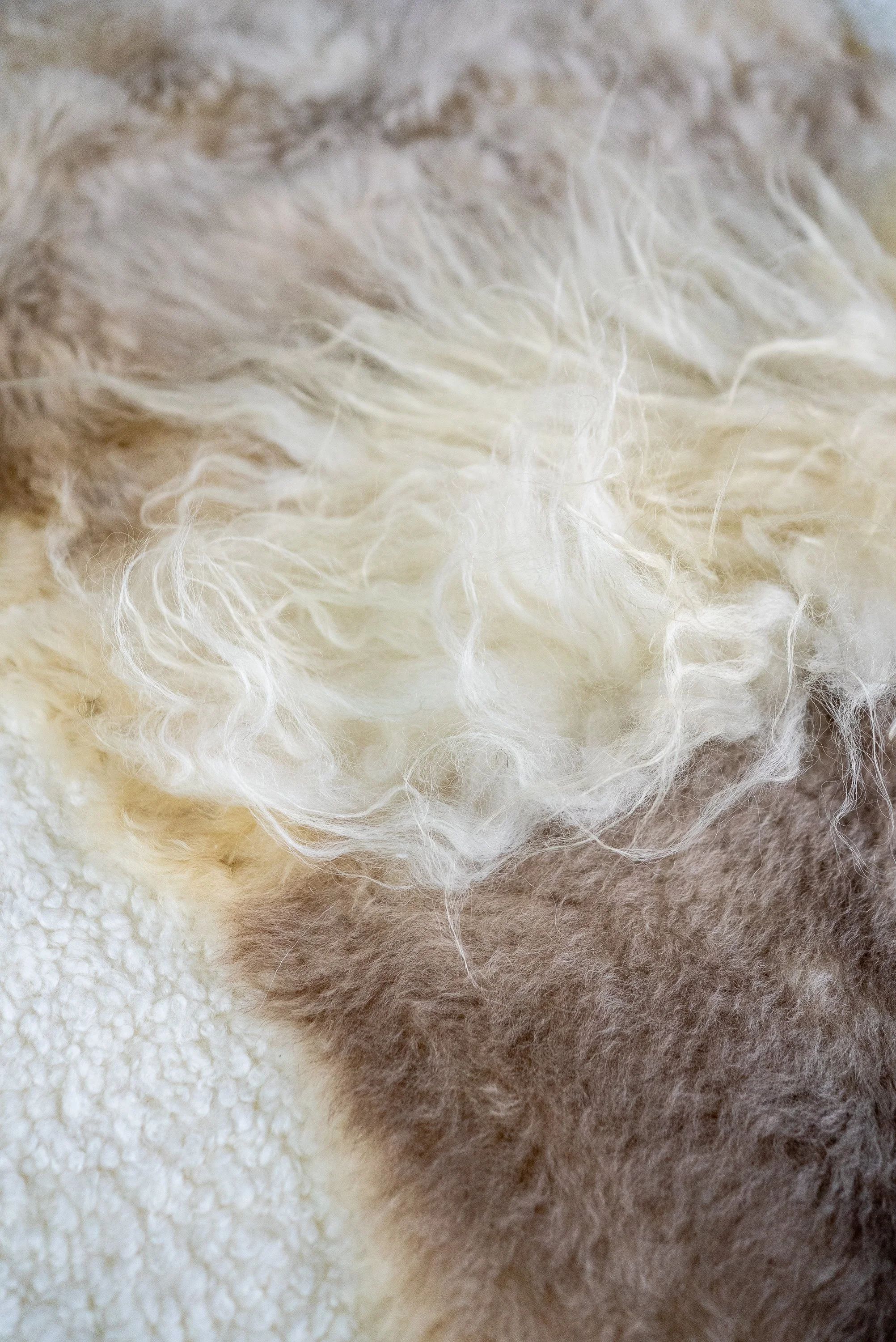 cutie-sheepskin-rug (6).jpg