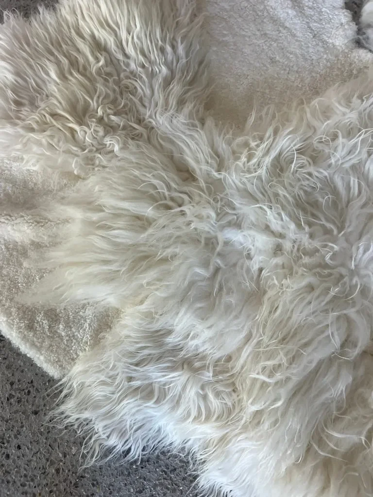 Gamin by Wol Society, an ivory sheep skin rug with long, airy fleece and smooth patches