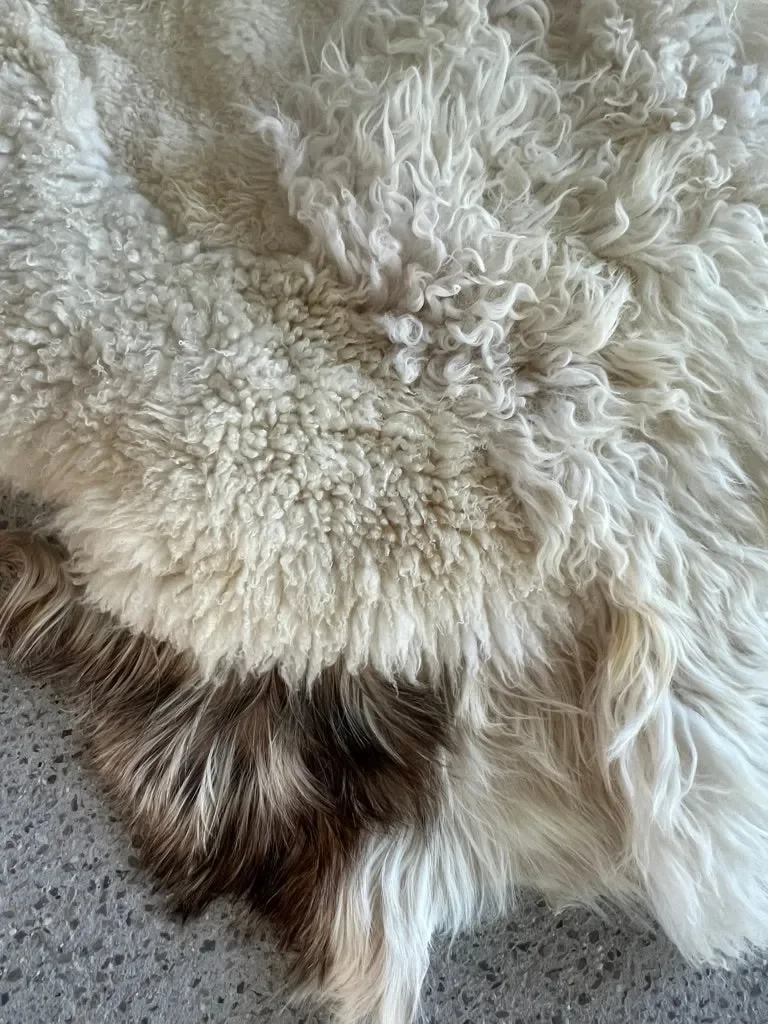 Gabin by Wol Society, a creamy white sheepskin rug with gently wavy fleece and a hint of dark brown
