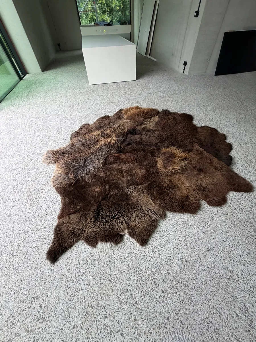Kai by Wol Society, an ivory and cream sheep skin rug with long, gently wavy fleece