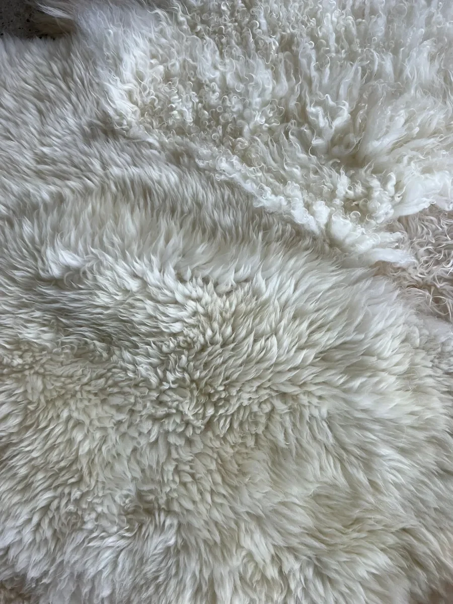 Princess by Wol Society, an ivory sheep skin rug with tight curls and long, silky locks