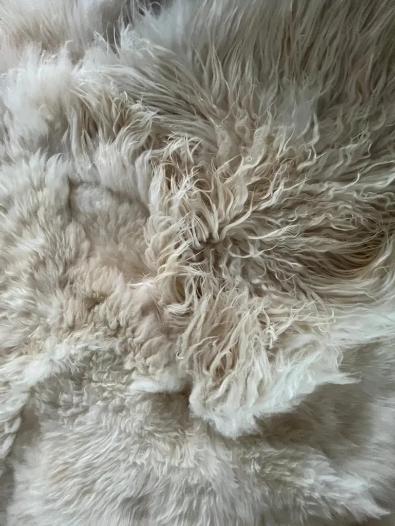 Mieke 205 by Wol Society, a cream sheep skin rug with long, wavy fleece