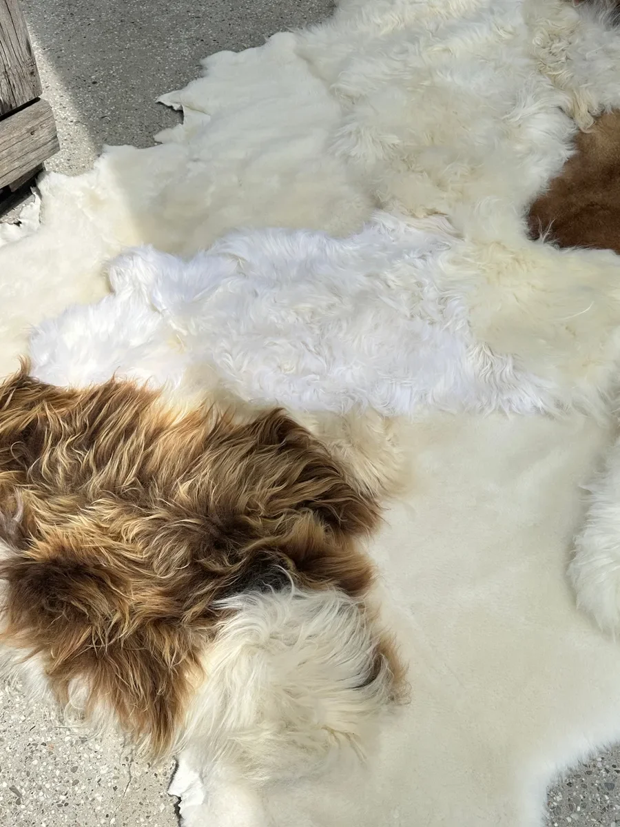 Mieke 190 by Wol Society, a large white sheepskin rug with a caramel brown pelt through its center