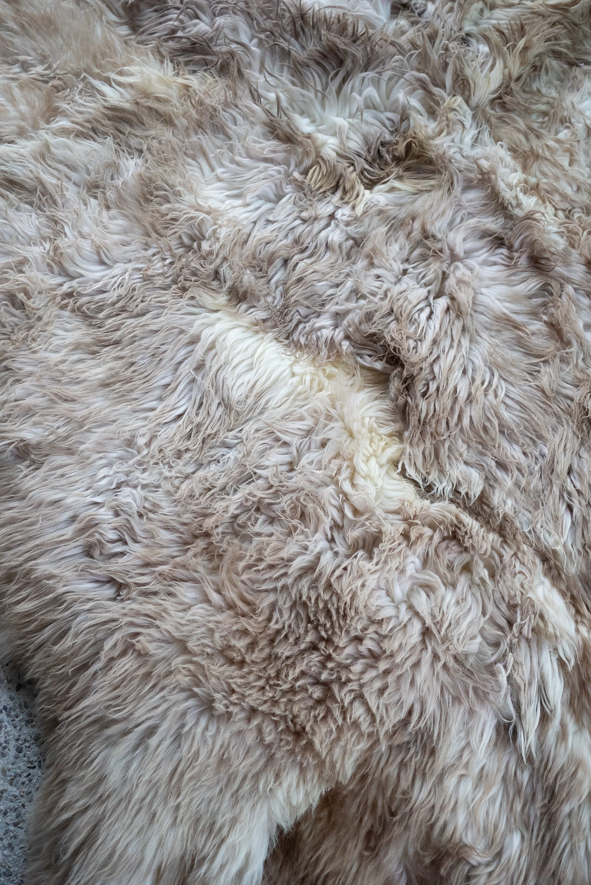 baaa-bara-sheepskin-rug (6).jpg