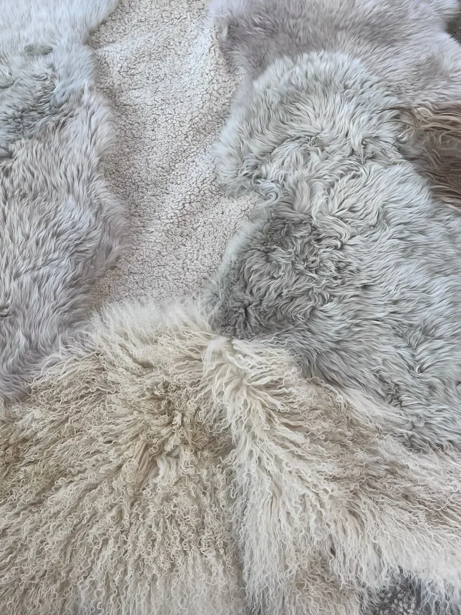 Angelica-sheepskin-rug-5 (1).webpAngelica by Wol Society, a creamy white and pale grey sheep skin rug with rust-tipped edges
