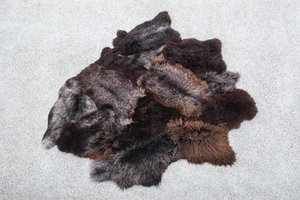 Bruno by Wol Society, a giant dark brown sheepskin rug with smoky grey-brown, frost-tipped pelts