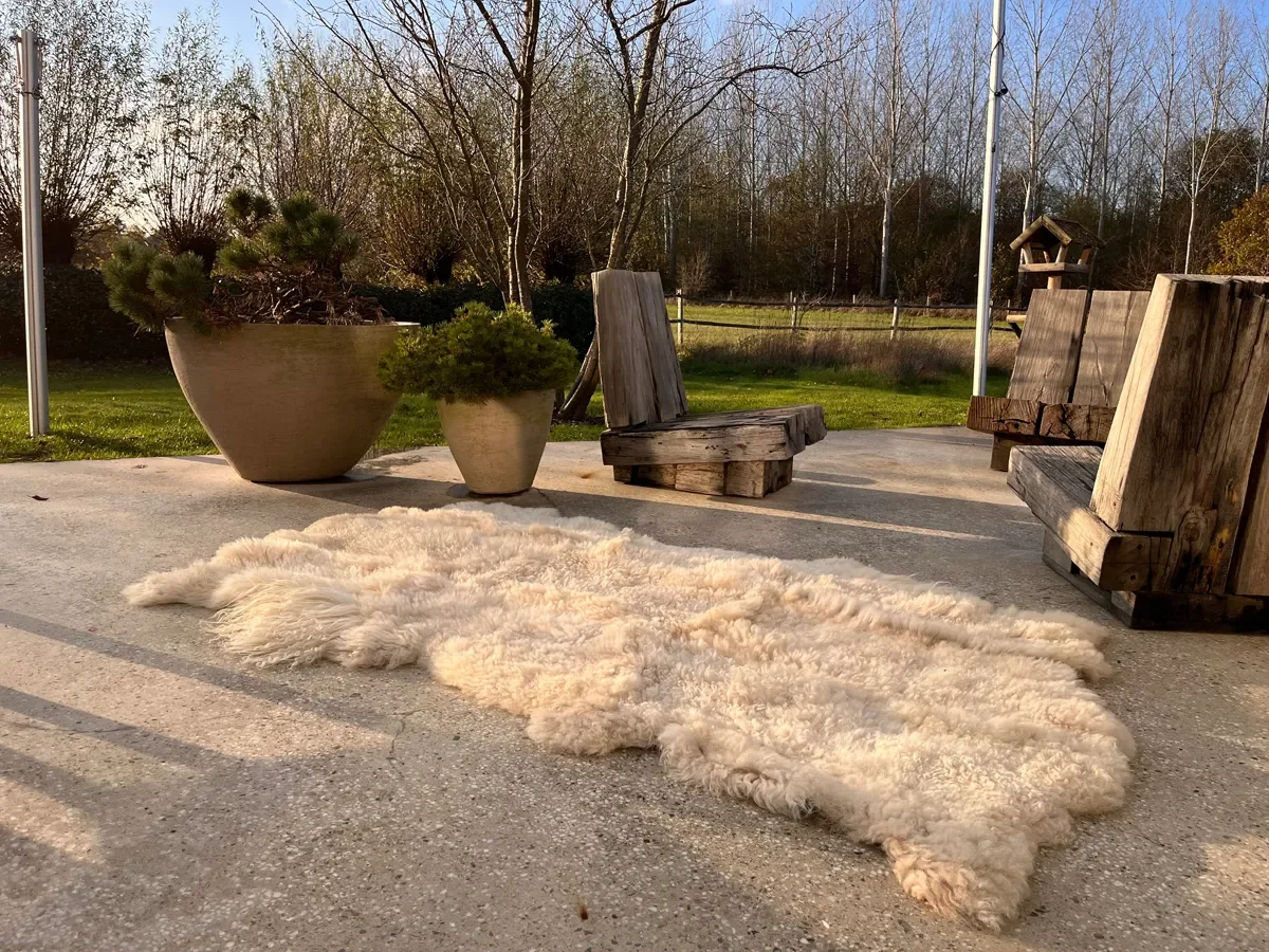 Pixie by Wol Society, a curly oatmeal and cream sheep skin rug with longer locks at the edges
