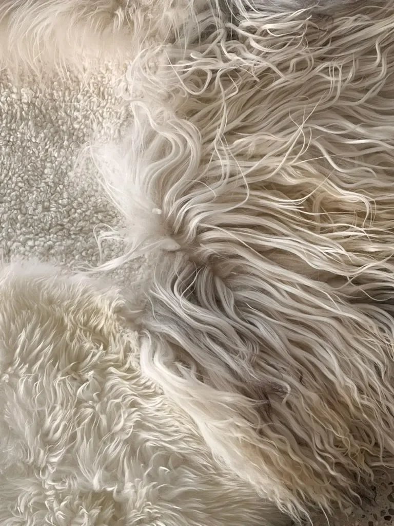 Snow White by Wol Society, a bright white sheepskin rug with long waves and soft curls