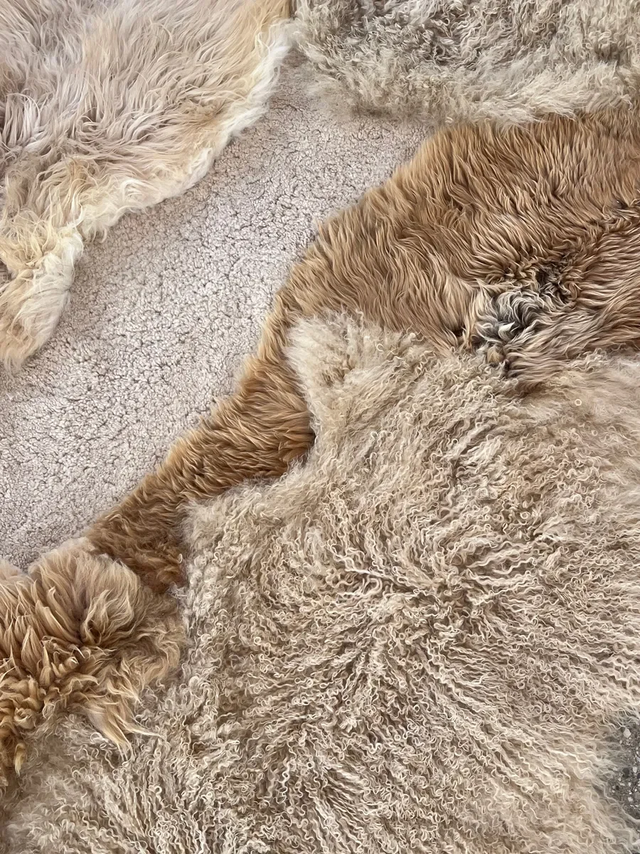 Pickles by Wol Society, a honey and sand sheep skin rug with shaggy fleece around a sandy beige center