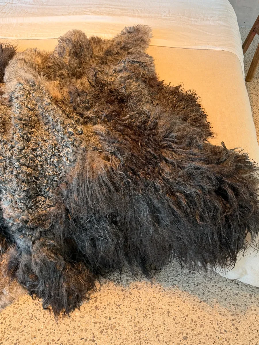 Shadow by Wol Society, a dark sheep skin rug with long black fleece around tight silver grey curls