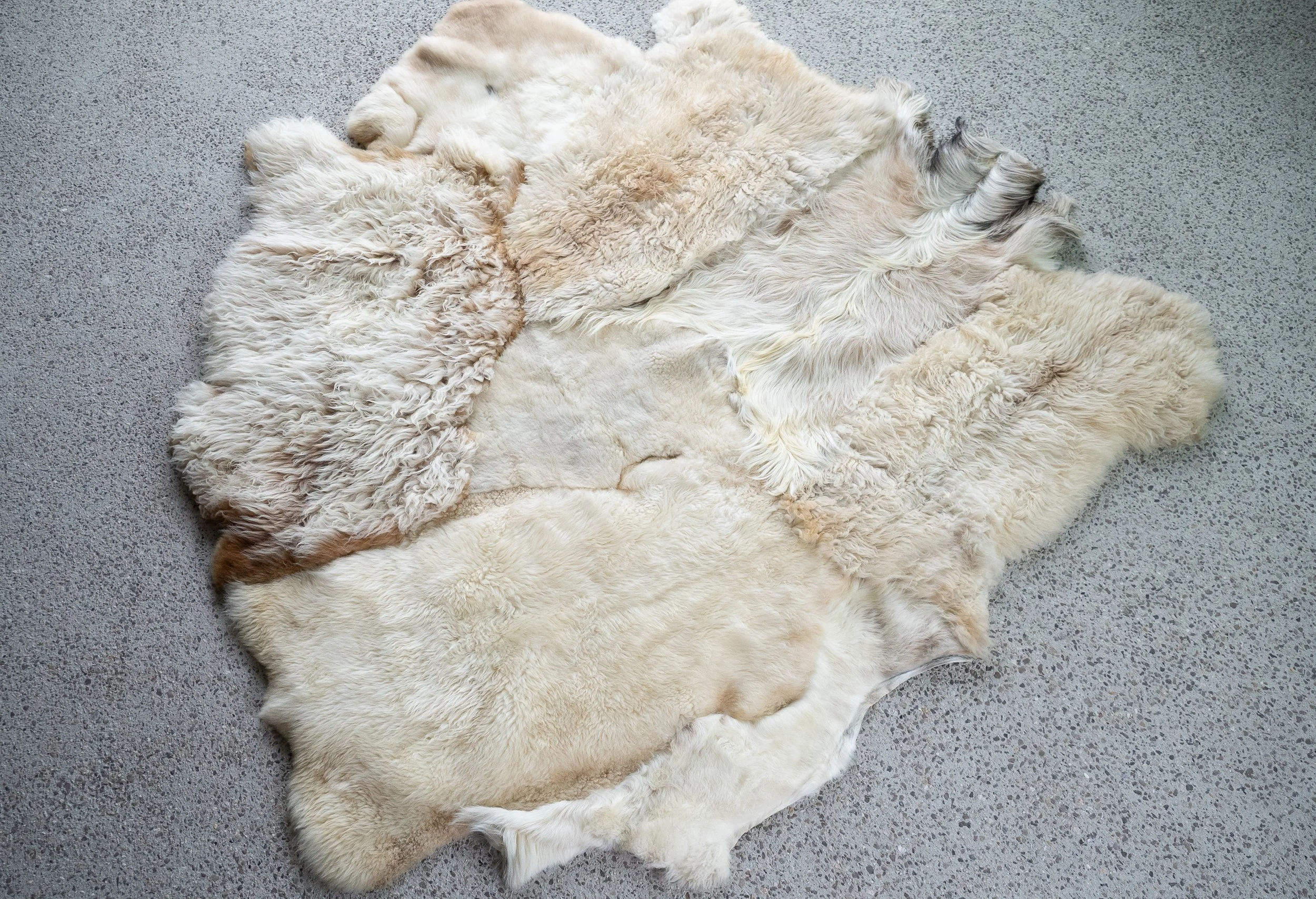 alfie-grey-white-sheepskin-rug (3).jpg
