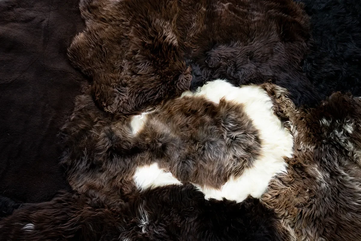 Titan by Wol Society, a dark brown sheepskin rug with a swirl of white at its center