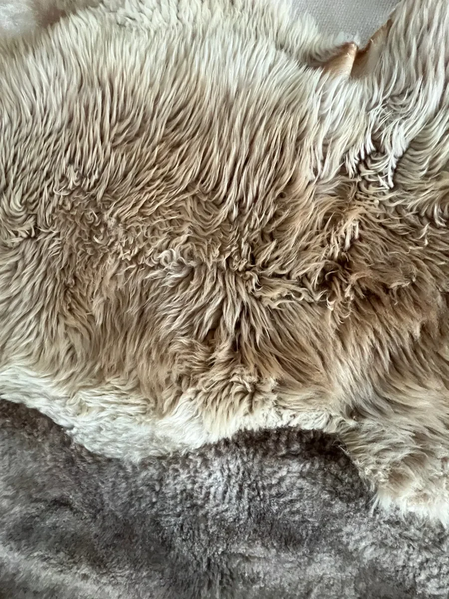 Mieke 202 by Wol Society, a taupe and silvery grey Shetland lambskin carpet.