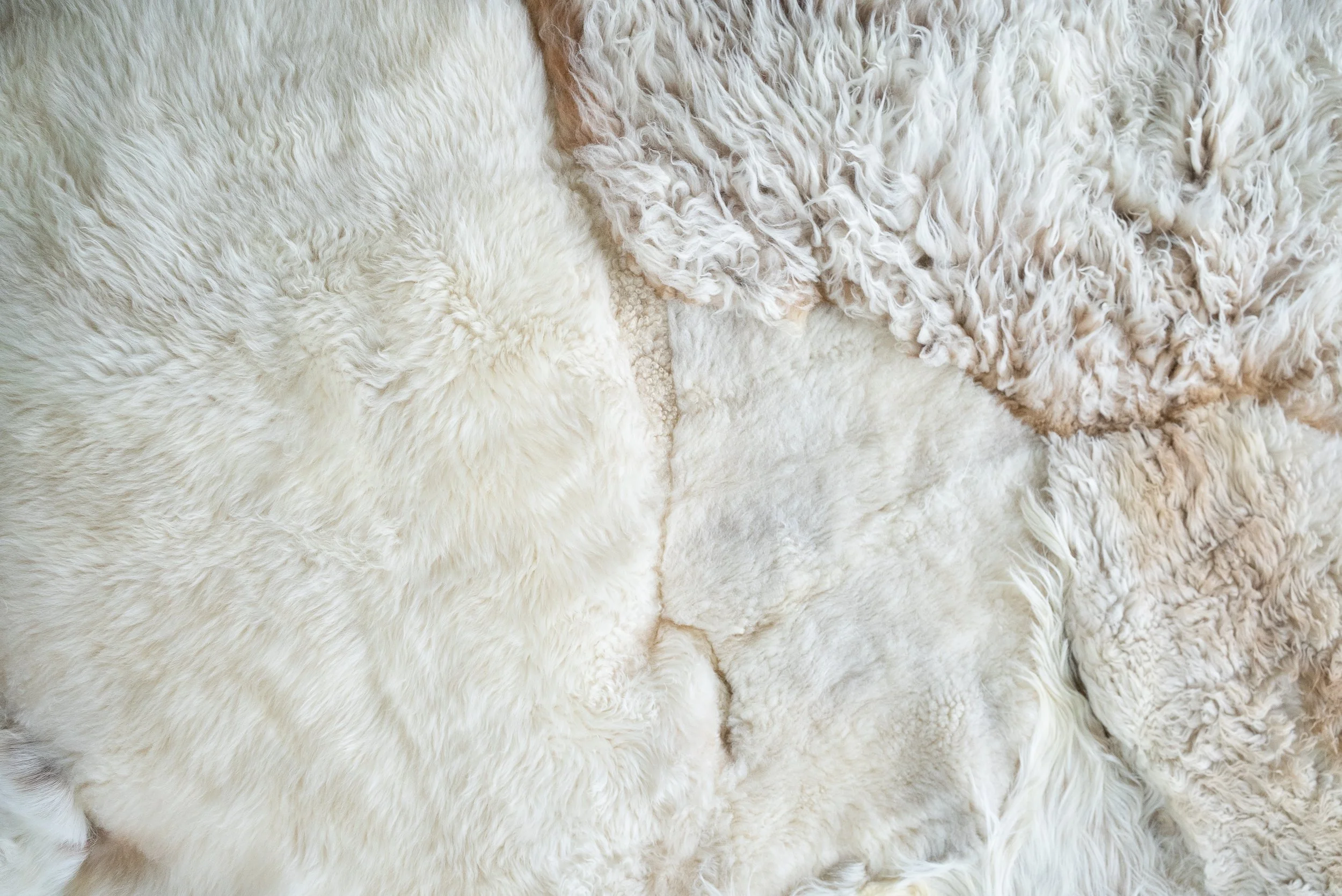 alfie-grey-white-sheepskin-rug (7).jpg