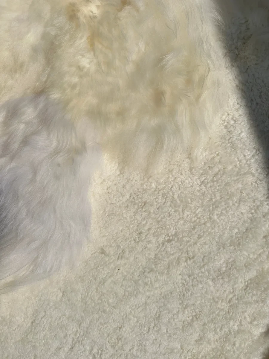 Mieke 193 by Wol Society, a large white sheepskin rug with fluffy fleece from end to end
