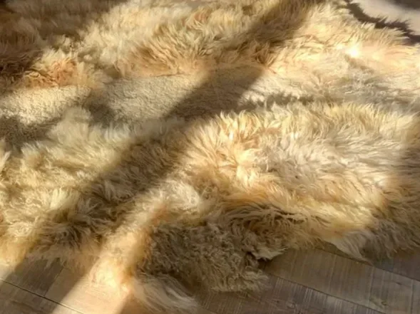 Marcel by Wol Society, a golden sand and caramel sheep skin rug with tousled, silky fleece