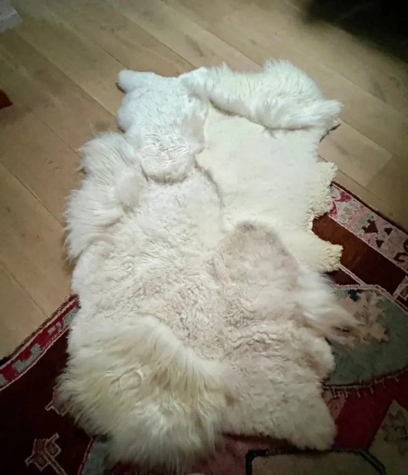 Lewis by Wol Society, an elongated white sheepskin rug with long, fluffy fleece