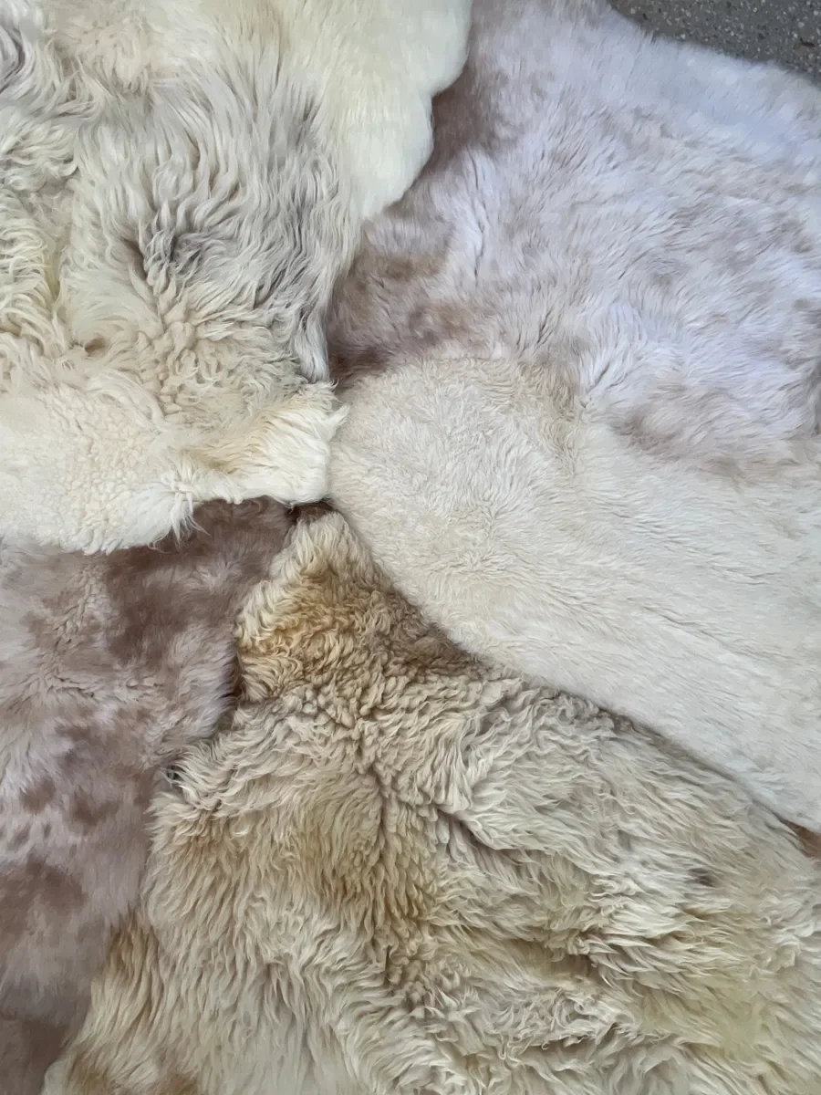 Willowieter by Wol Society, an ivory and cream sheep skin rug mottled with blush and taupe
