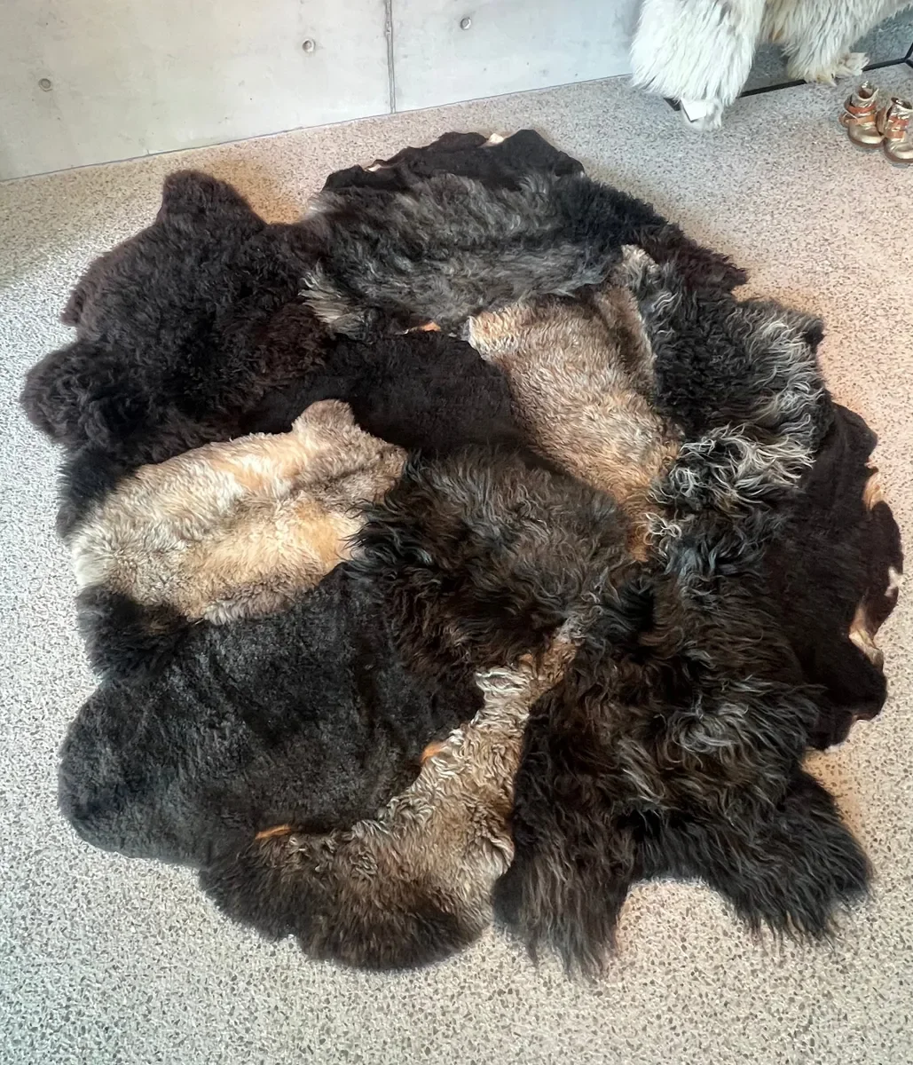 Joske by Wol Society, a large dark brown sheepskin rug with honey, taupe and silvery curly pelts